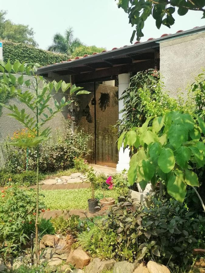 Granados Bed & Breakfast Asuncion Exterior foto