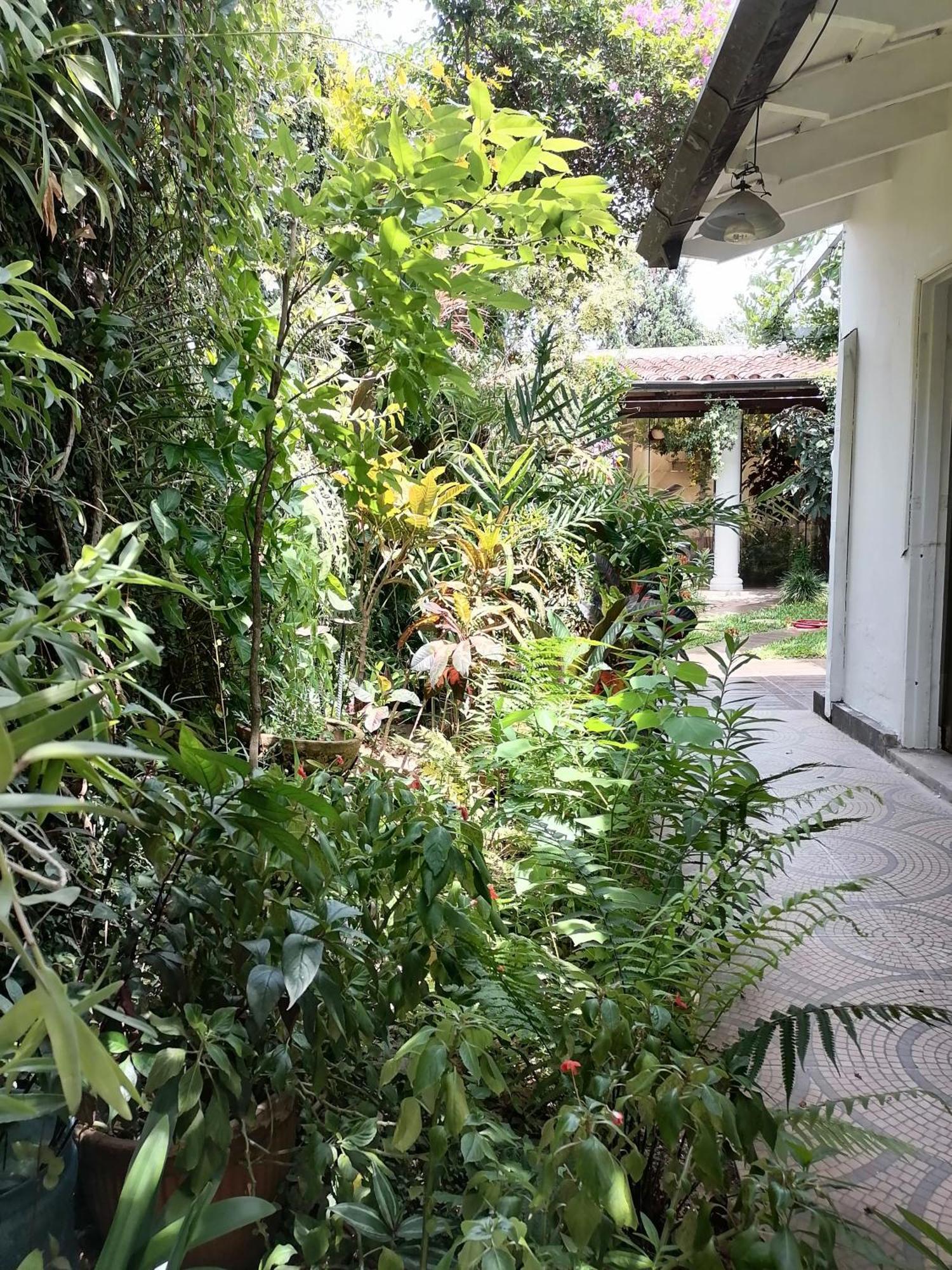 Granados Bed & Breakfast Asuncion Exterior foto