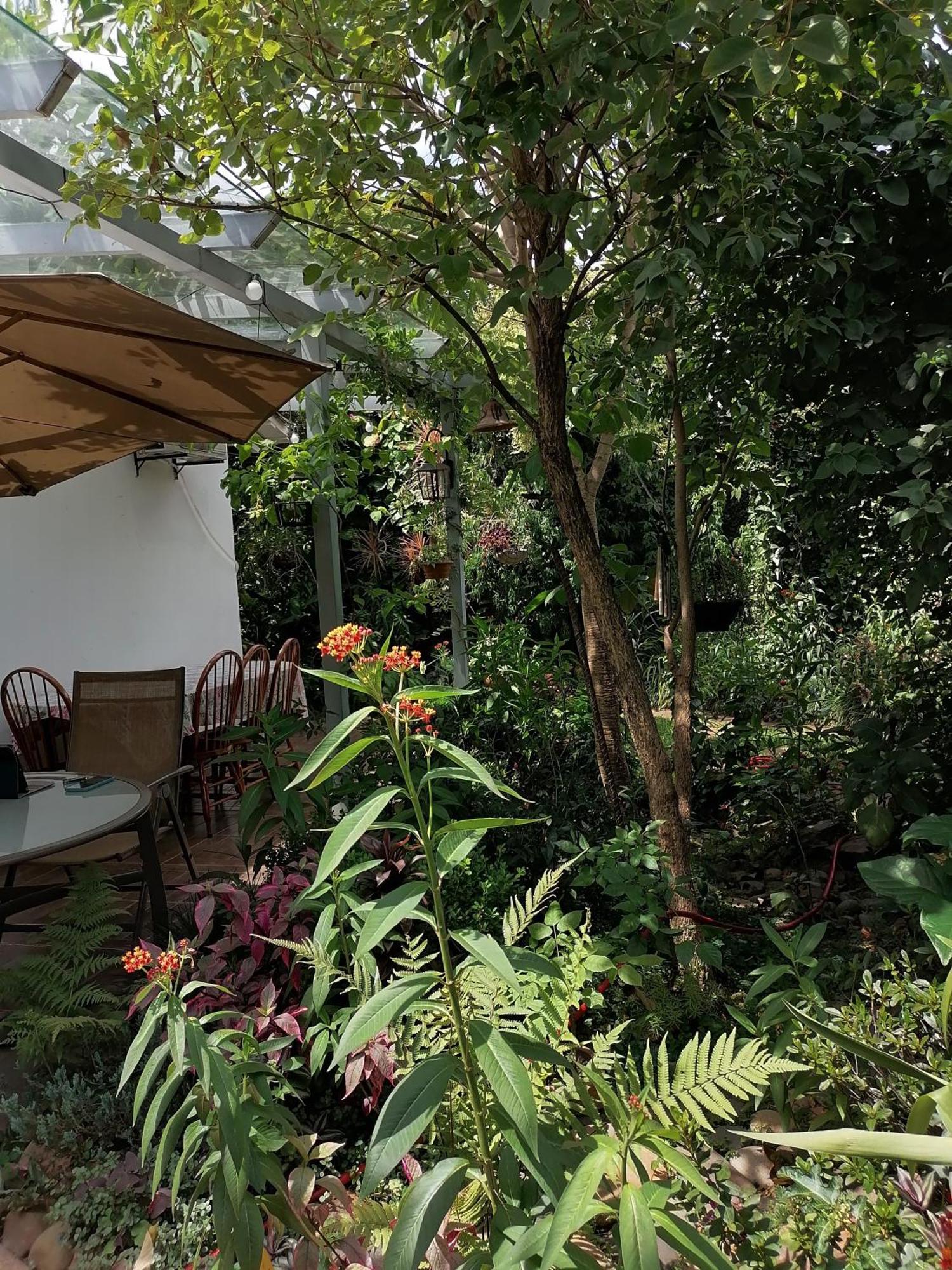 Granados Bed & Breakfast Asuncion Exterior foto