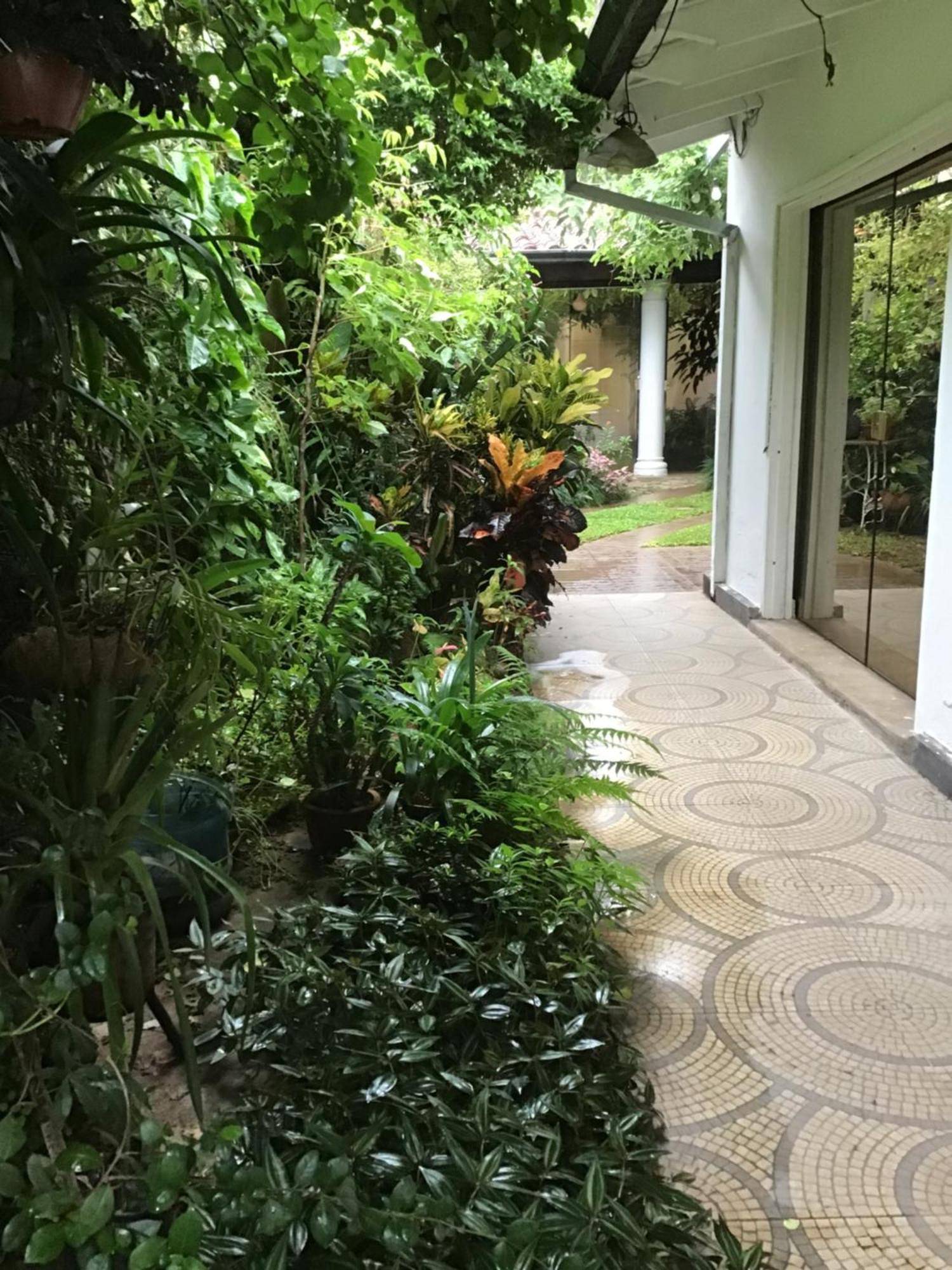 Granados Bed & Breakfast Asuncion Exterior foto